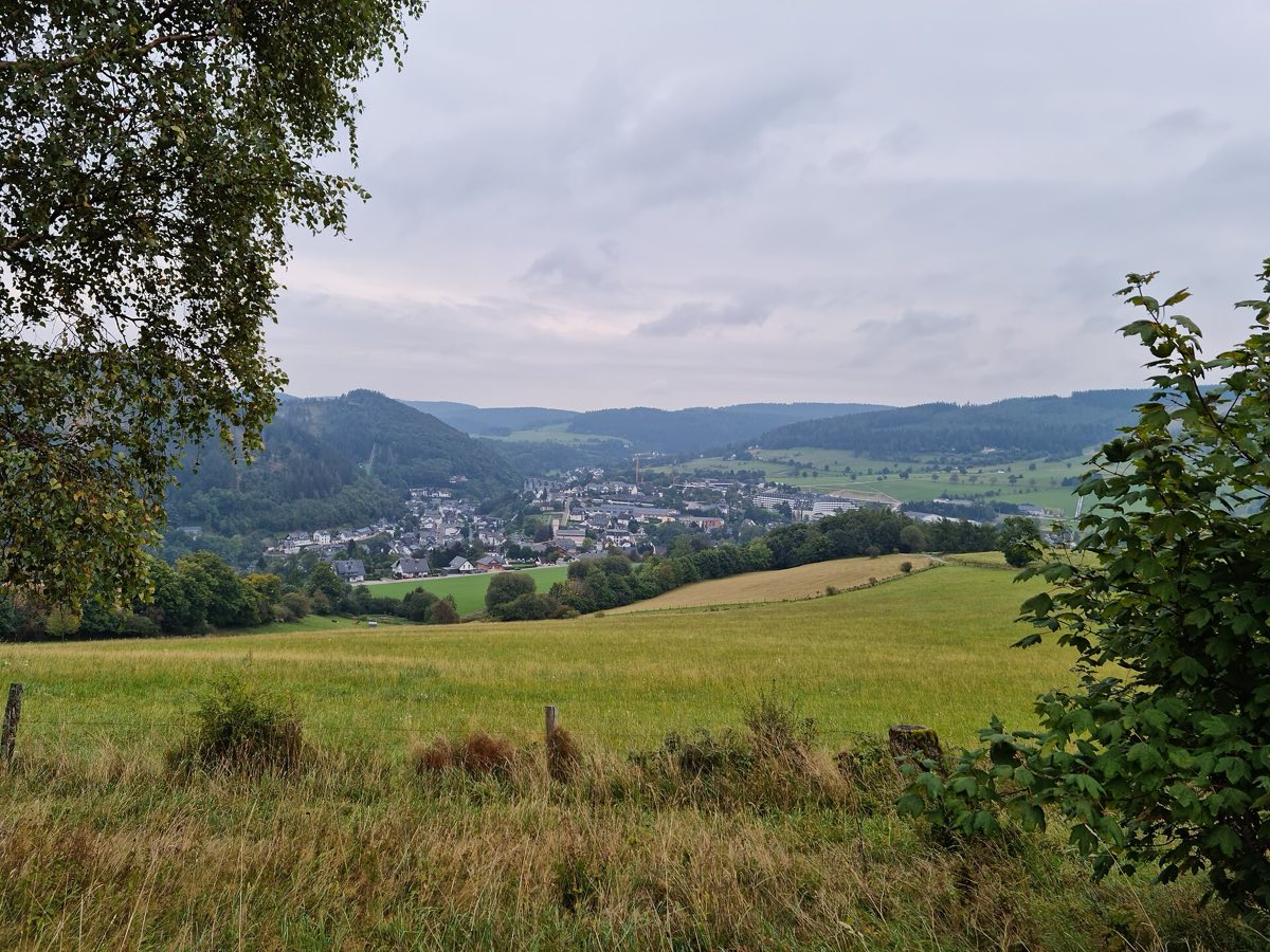 Blick von der Straße Zum Hohen Eimberg über den Ortskern von Willingen (Upland)