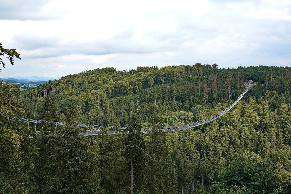 Hängebrücke Skywalk Willingen über dem bewaldeten Strycktal